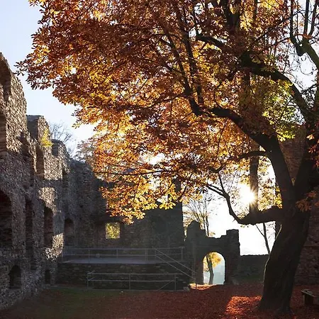 Gasthof Geiger Gasthof